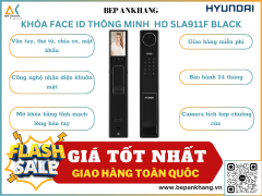 Khóa cửa thông minh HD HY-SLA911F BLACK - Hệ cửa gỗ - Công nghệ Face ID & tĩnh mạch